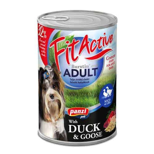 Duck & Goose