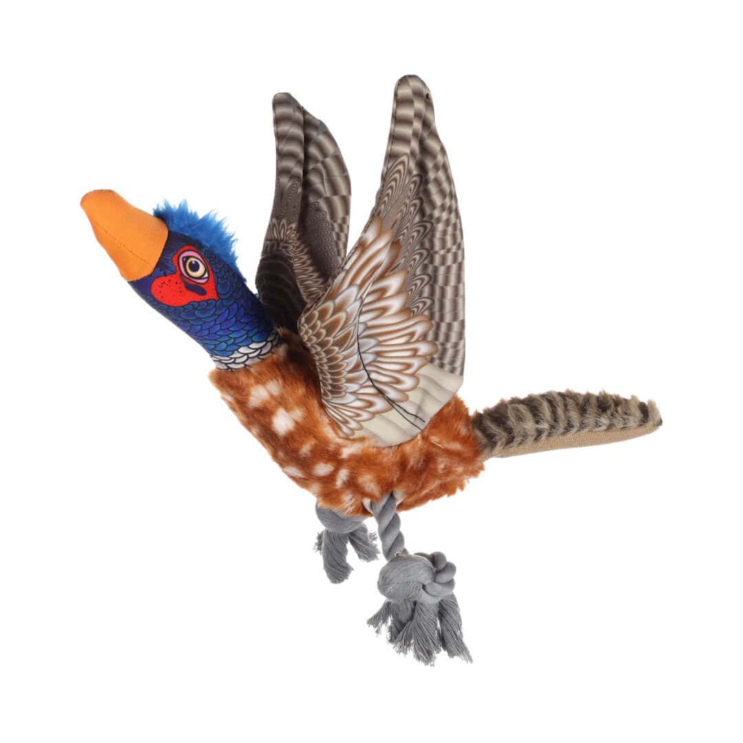 Fazant Wingo