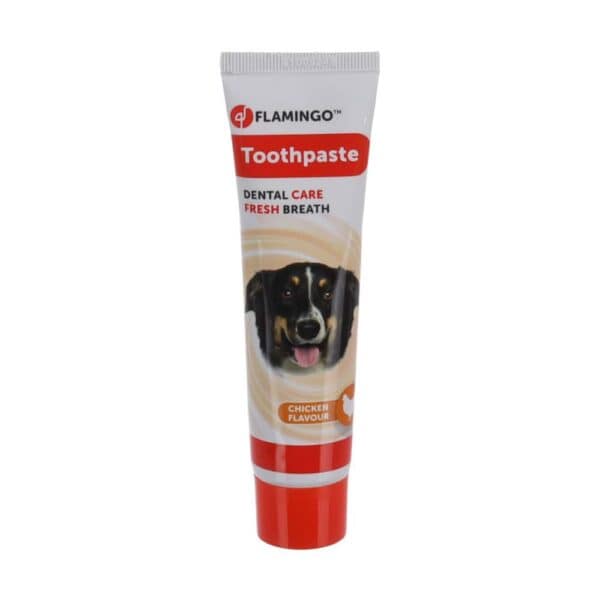 Dentifrice - Saveur de Poulet