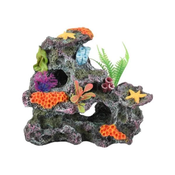 Corail - Koralia