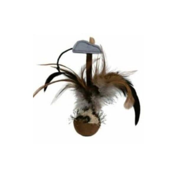 Ballon avec plumes