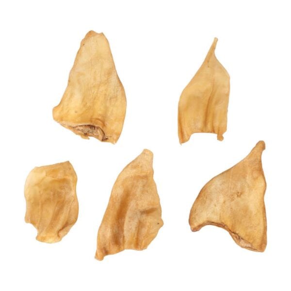 Buffalo Ears 5pcs