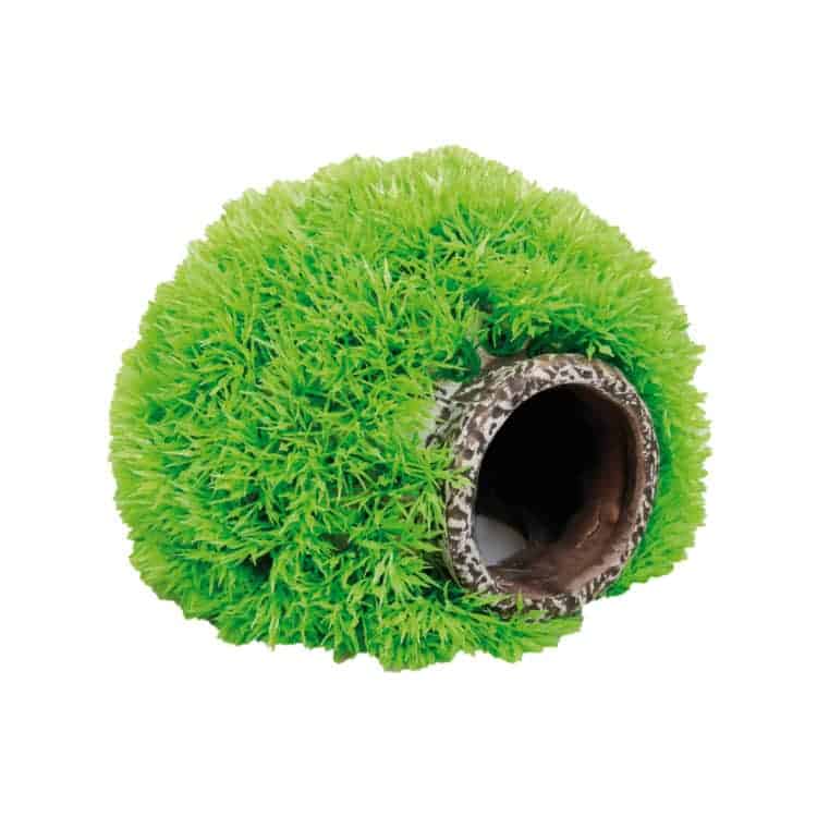 Grotte verte