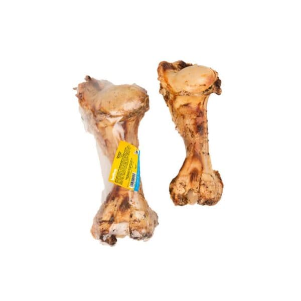 Dinobot - 30cm