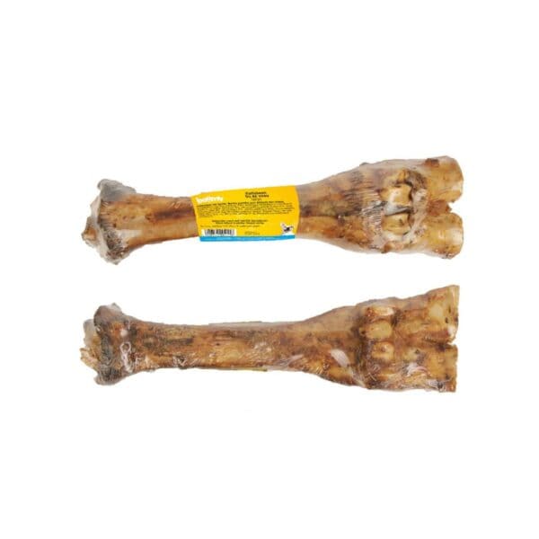 Calf Bone - 1st
