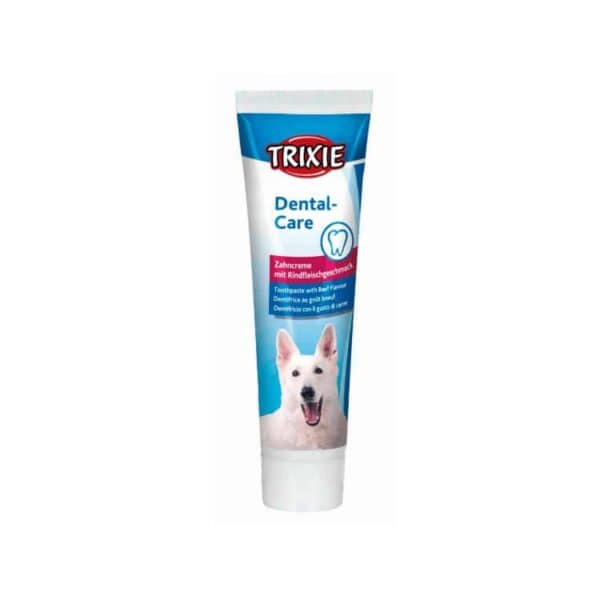 Dentifrice 100g