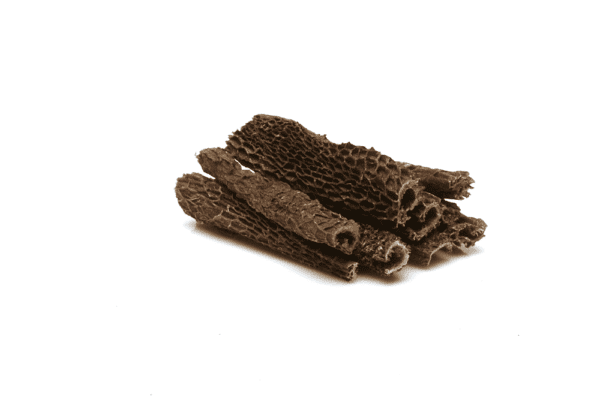 Pansen