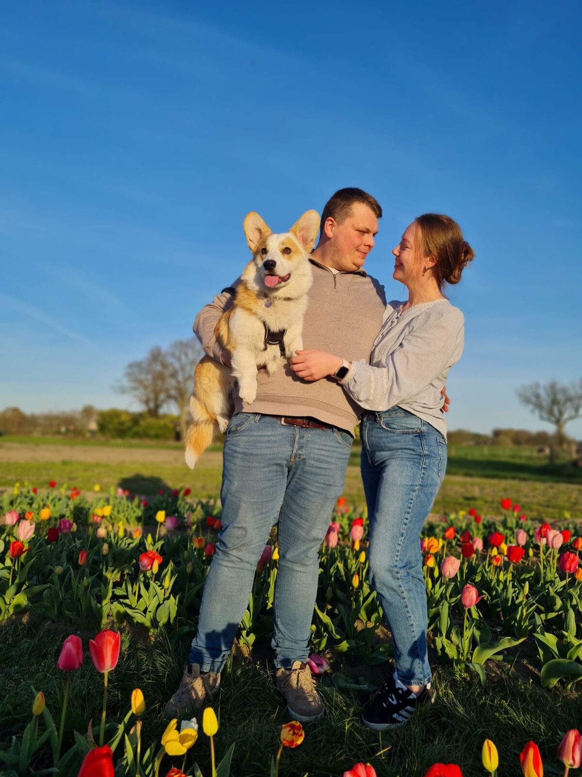 Waarom het een Corgi werd